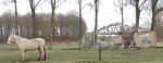 Verlaten schuur aan de Daarleseweg